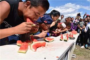 吃瓜群众培训气氛游戏,吃瓜群众培训气氛游戏狂欢记