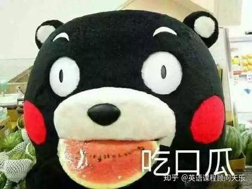 吃瓜群众无内涵,娱乐圈最新瓜皮事件大揭秘