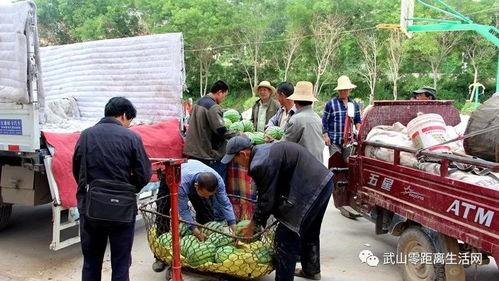 走马村吃瓜群众事件,揭秘网络舆论的狂欢与反思