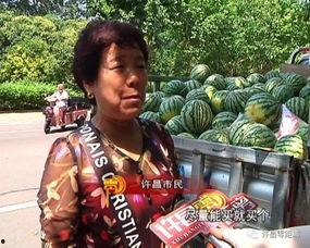 郯城吃瓜群众新闻,最新新闻事件深度解析