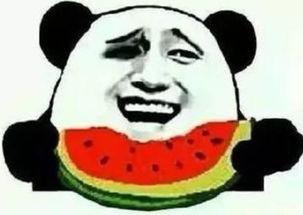 紧急呼叫吃瓜群众视频,吃瓜群众围观,揭秘事件真相