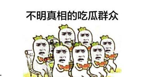 吃瓜群众的自信是什么,揭秘网络时代的舆论力量
