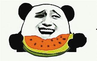 一只奇怪的吃瓜群众,揭秘那只神秘的吃瓜群众