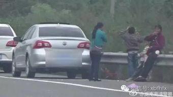 心中有车自然嗨吃瓜群众,揭秘吃瓜群众的汽车生活态度