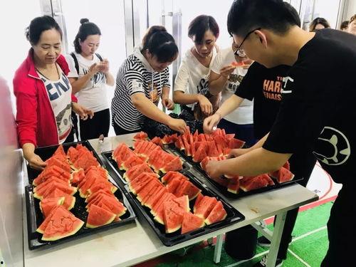 吃瓜群众592号,一场关于瓜田的奇妙冒险