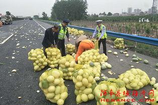 凤阳吃瓜群众,揭秘当地独特民俗风情