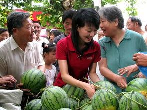 吃瓜群众来源于,揭秘网络围观背后的文化现象