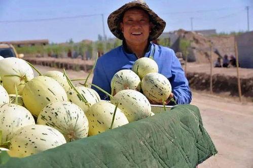 重庆群众吃瓜视频下载,一场全民娱乐盛宴