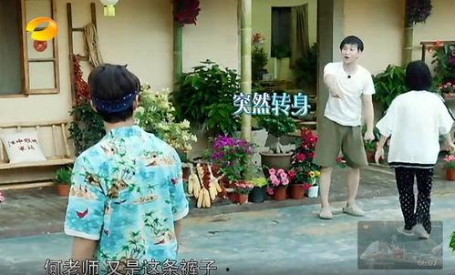 南海吃瓜群众事件真相,揭秘背后真相与争议