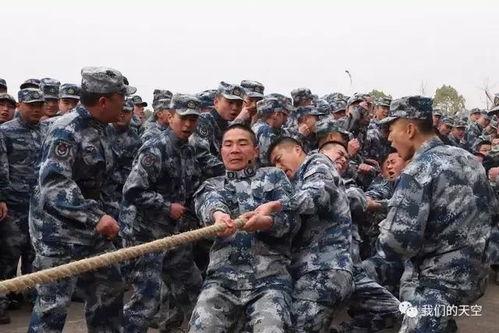 与凤行军营比武 吃瓜群众反应,吃瓜群众热议，精彩瞬间盘点