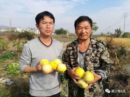 衡水吃瓜群众,揭秘当地生活百态