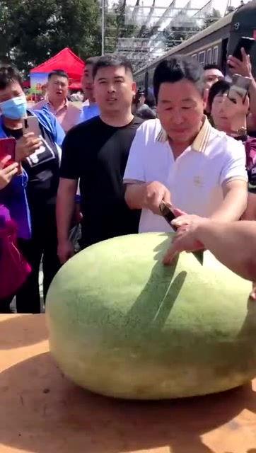 看京剧吃瓜群众的感受,看客们的瓜田笑谈