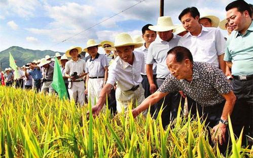 吃瓜群众002号,揭秘娱乐圈幕后风云