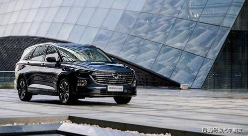 日照大众吃瓜群众,吃瓜群众的视角解读