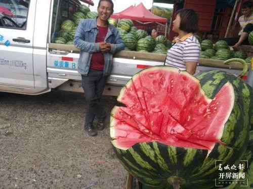 日照大众吃瓜群众,吃瓜群众的视角解读