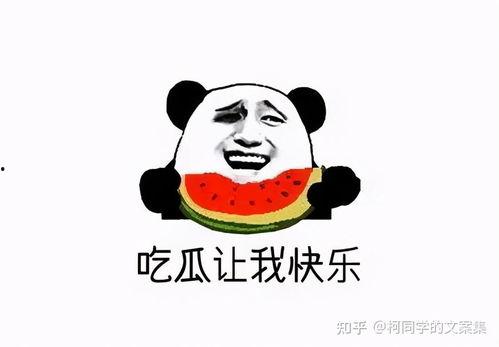 吃瓜群众霸气点怎么说,揭秘娱乐圈风云变幻