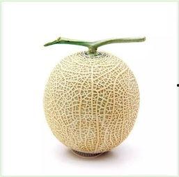 石岛吃瓜群众是谁,揭秘网络热词背后的故事