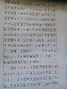 以吃瓜群众主题的作文,网络时代的围观力量