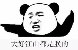 吃瓜群众的承诺怎么写,揭秘网络舆论背后的真实力量