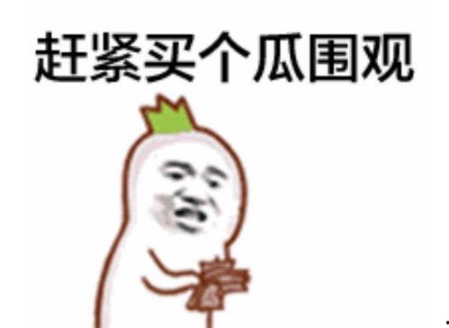 反驳吃瓜群众的图片,理性看待网络舆论